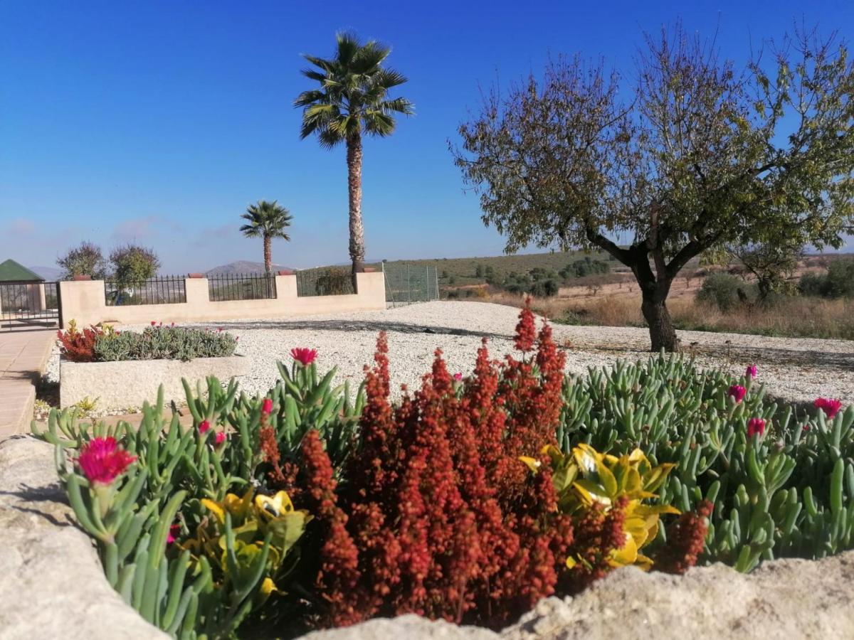 Finca Guillermo Murcia Canada del Trigo Εξωτερικό φωτογραφία