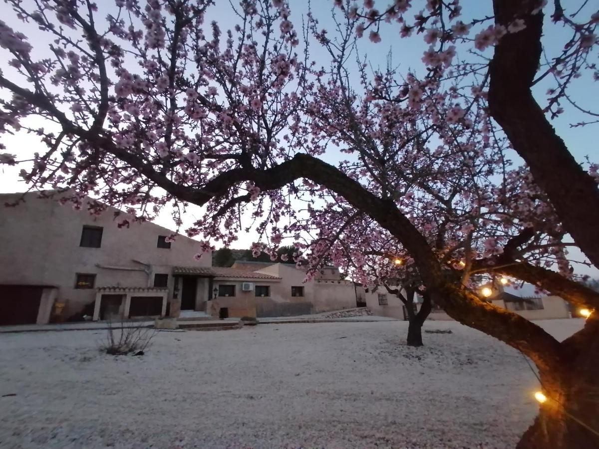 Finca Guillermo Murcia Canada del Trigo Εξωτερικό φωτογραφία